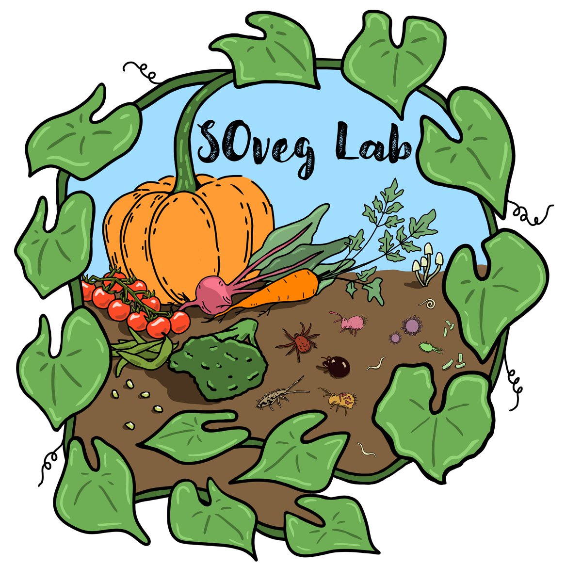 The Sustainable and Organic Vegetable Crops Production Lab officially has a logo, created by the amazingly talented @hayleyadair37! That's #SOveg🫛🥕🍅