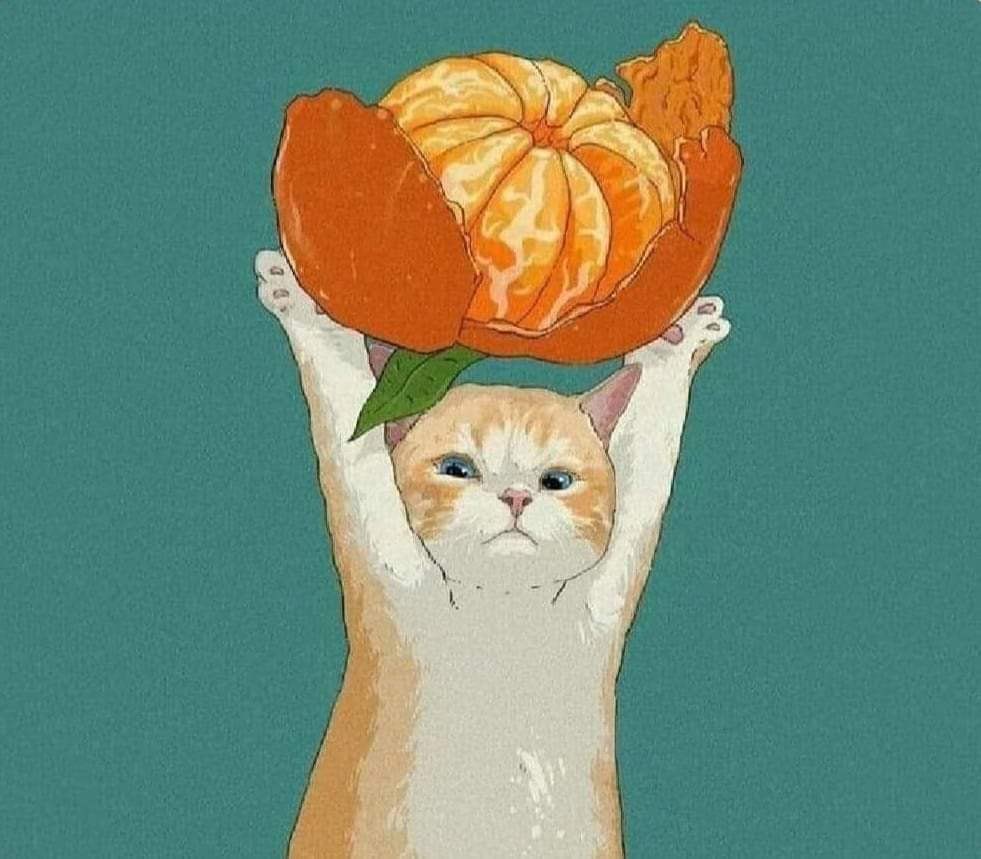 Baticholo tweet media