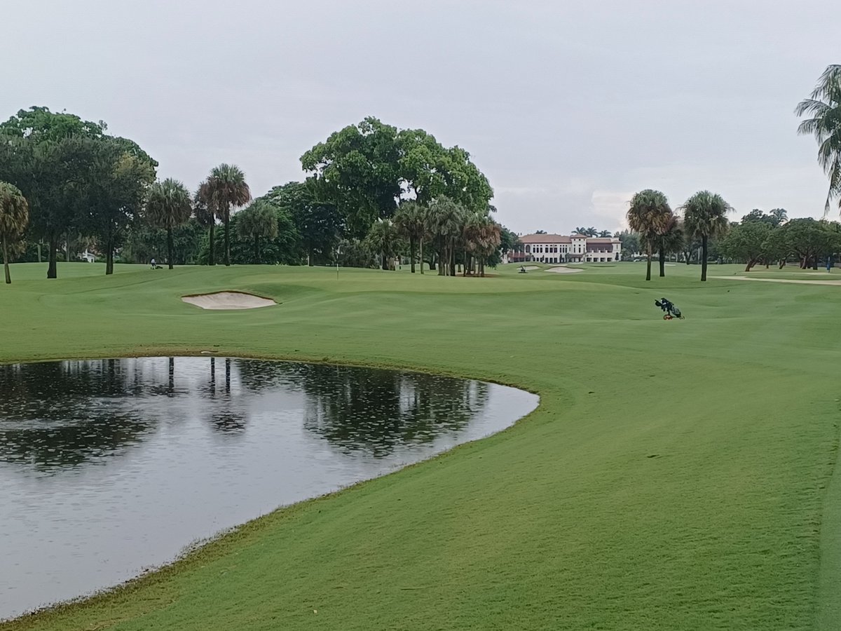 Cory Lewis tweet media