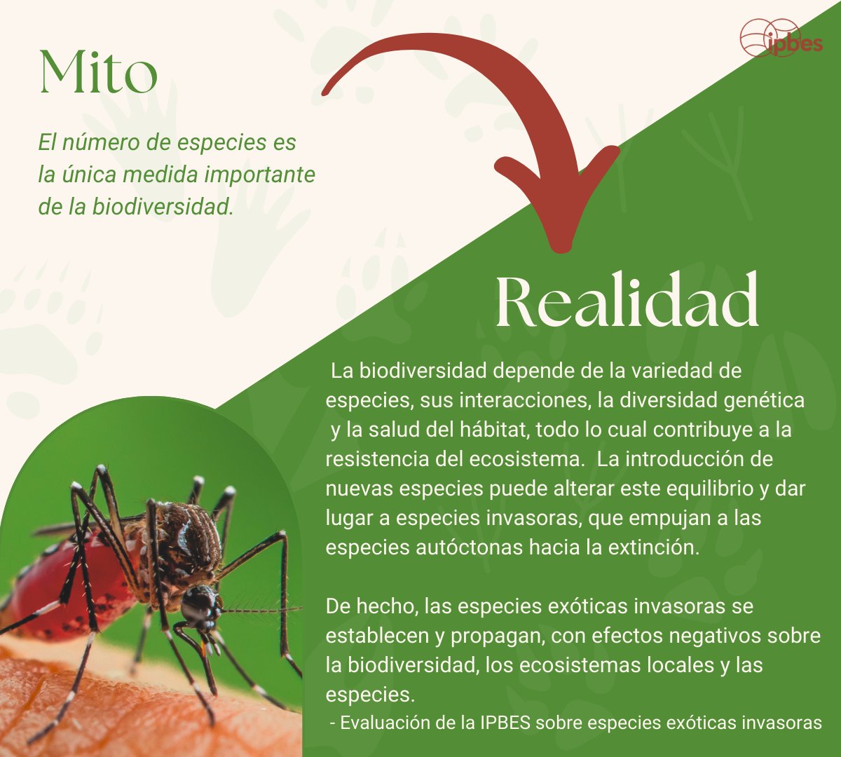IPBES en español tweet media