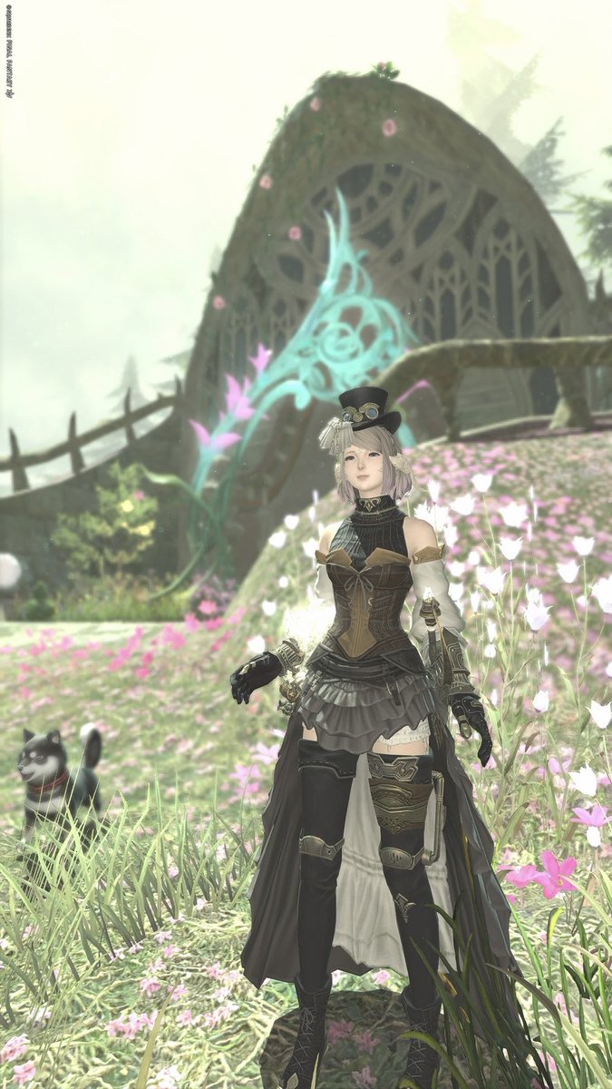 黒柴ちゃんの表情がすき☺️