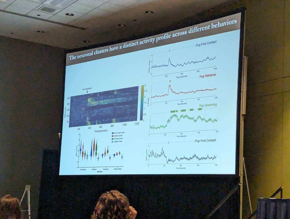MCCStweets's tweet image. Mohammed Mostafizur Rahman form @DulacLab at @Harvard discussing analysis of diverse neuronal subtypes underlying various aspects of parenting behavior.
#MCCS24
