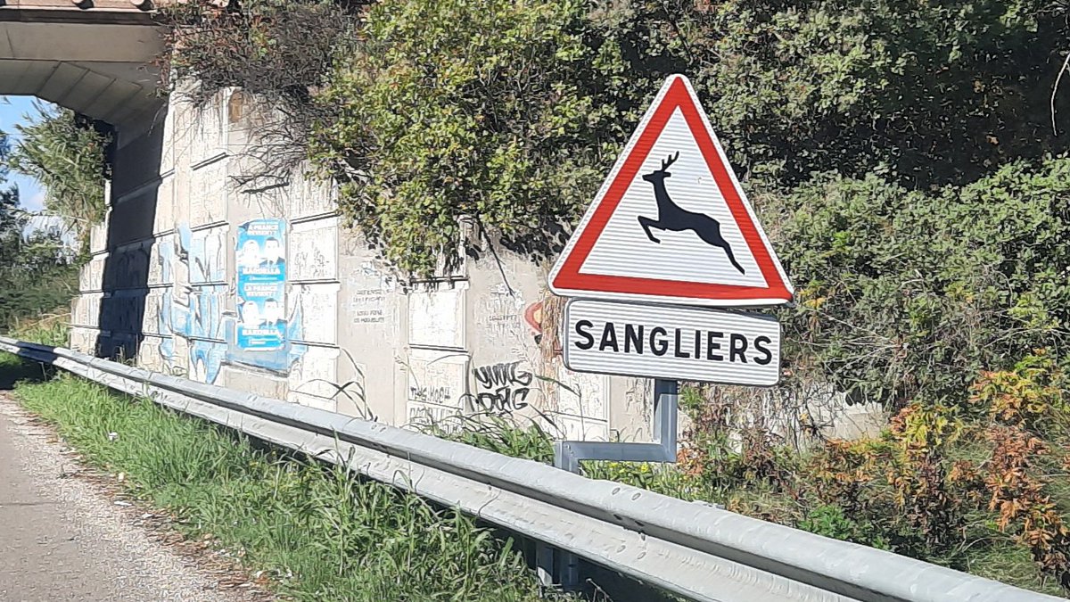 Pour éviter cette gabegie de l'argent public, va falloir changer la légende. Ou apprendre à dessiner.
#cerfcerfouvremoi