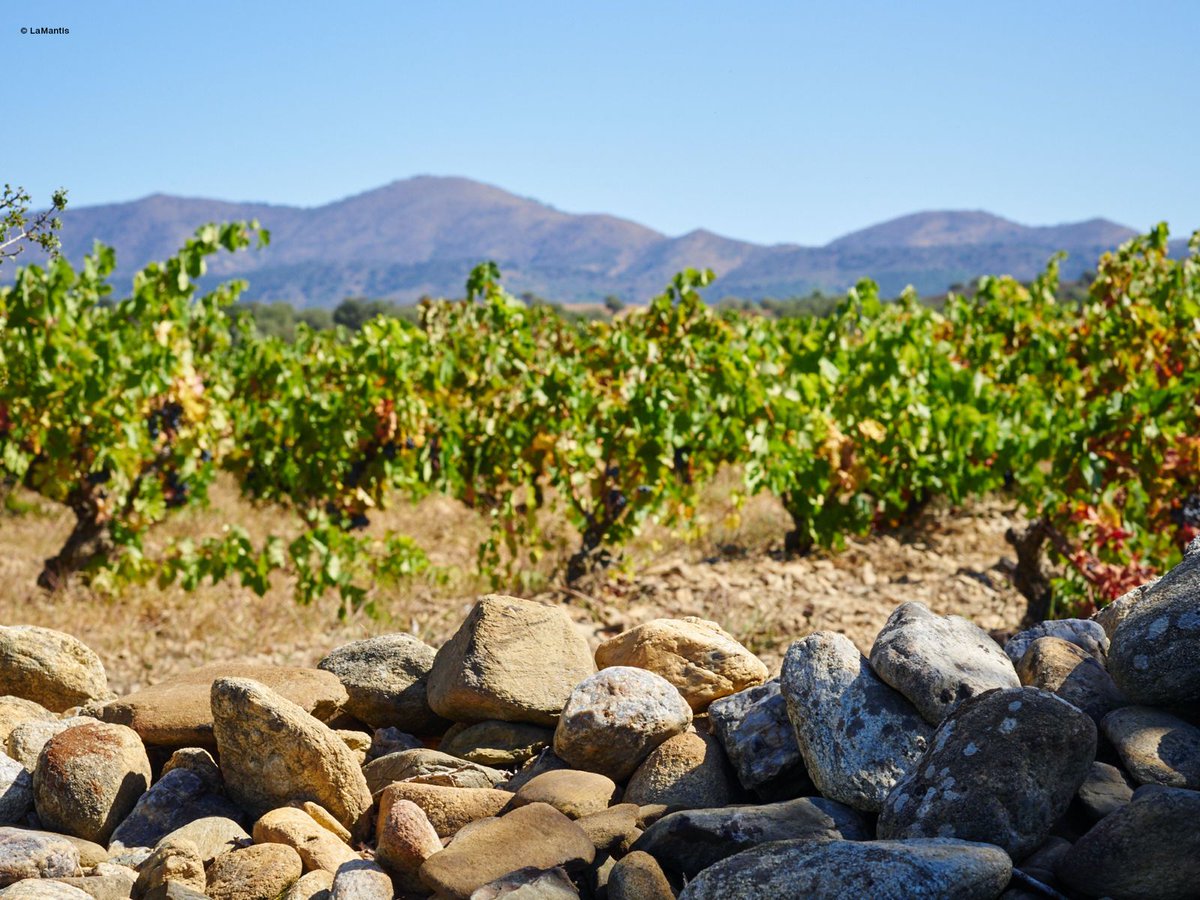 Aquest cap de setmana et proposem diverses activitats  🍇🍷

Dissabte 05 
👉 Beu-te el Museu (@MuseudelaPesca i Celler Pere Guardiola)
👉 Aires de Verema al celler <a href="/Perelada/">Perelada</a> 

Diumenge 06
👉 Concert de la Jove Orquestra de Figueres al <a href="/CellerEspolla/">Celler Espolla</a>

ℹ️ doemporda.cat/ca/agenda.html