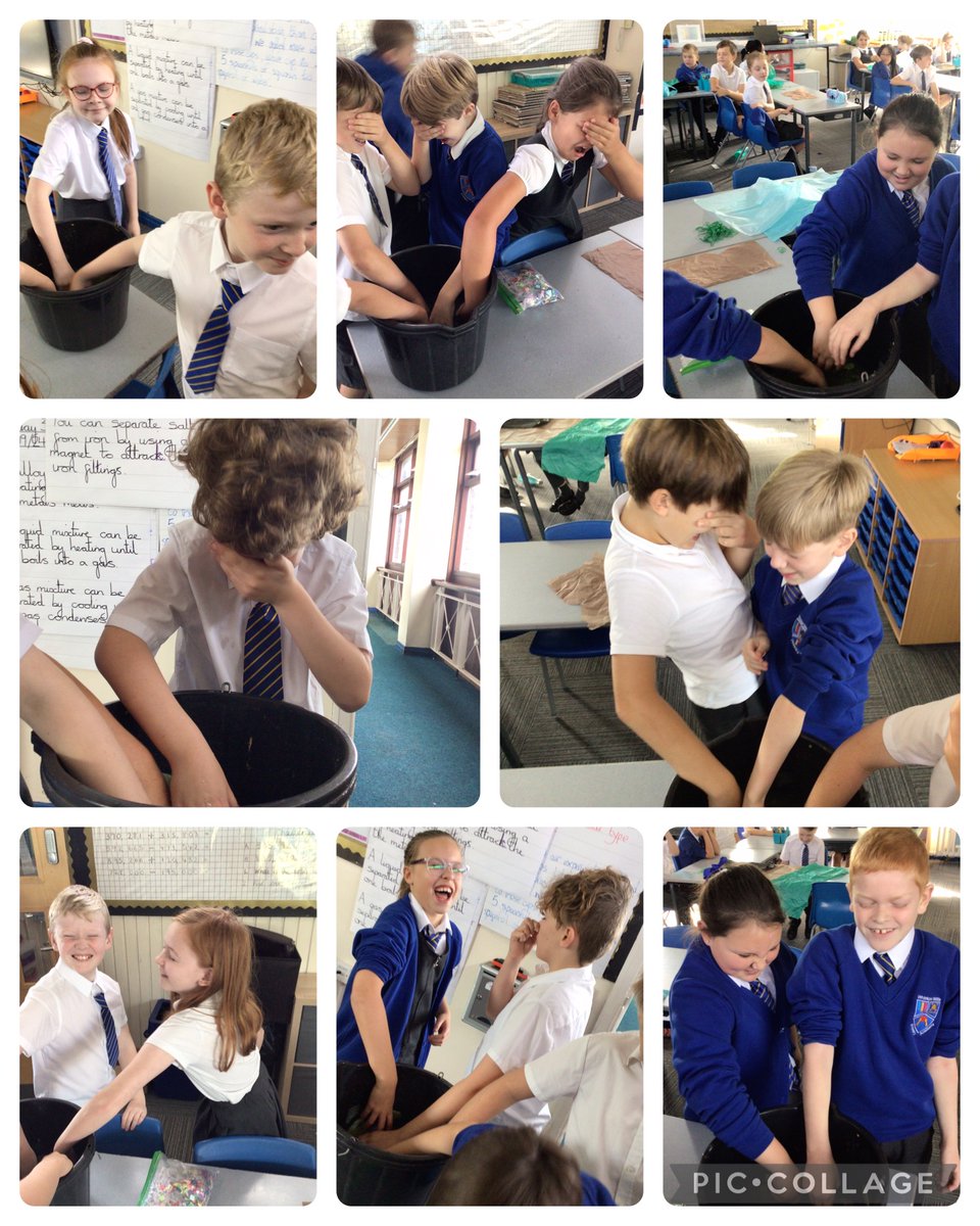 In English, Koala Class enjoyed their 'sensory experience' to introduce the book 'The Hidden Forest'. #WWPAWRITING #WWPAENGLISH