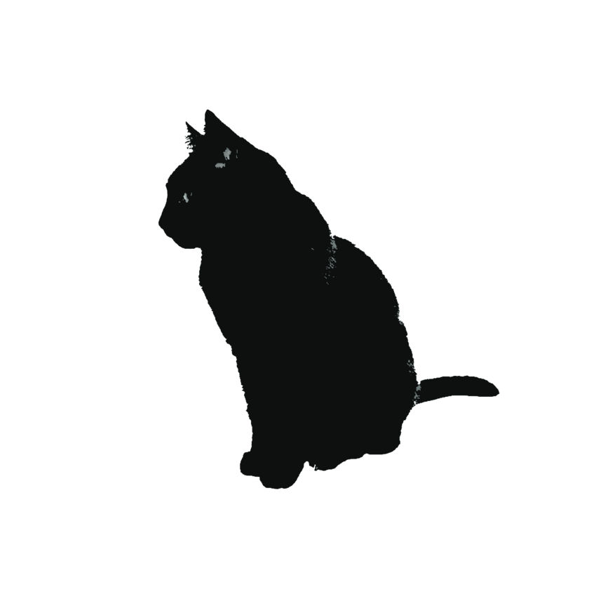 CATSCLAWING's tweet photo. ⠀
𝐲ou ⠀ may ⠀ lo͟v͟e ⠀ a ⠀ 𝘀𝐭𝐫𝐚𝐲 ⠀ but
you ⠀ can ⠀ 𝙣𝙚𝙫𝙚𝙧 ⠀ keep ⠀ 𝐭hem  ﹗
⠀ https://t.co/XVvchNYcSC