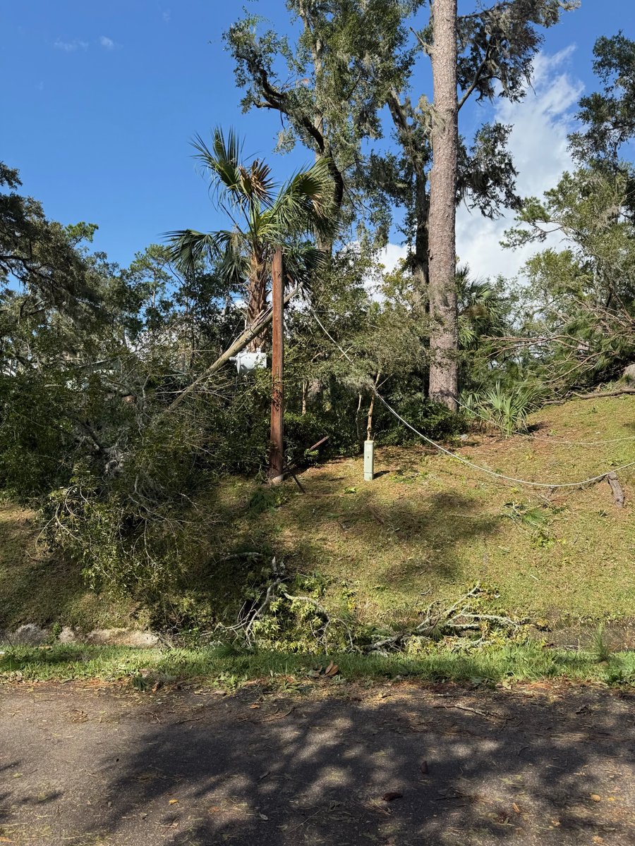 Noteworthy AI tweet media