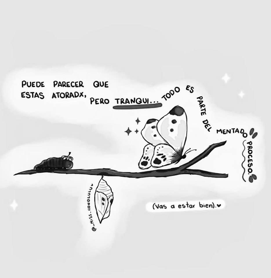 MexMujeresx's tweet photo. https://t.co/GwBaFDNDjx