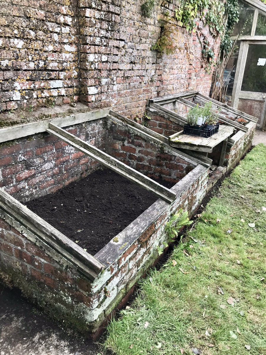 keithtesterliv1's tweet image. On one wheelbarrow trip I saw these butterflies on the grapevine enjoying the morning sun! They now look a lot tidier, I think some new Perspex lids for the new season would come in handy! #walledgarden #coldframes #brickwall #butterflies