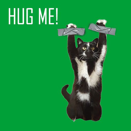 tapecatsol's tweet photo. $TCAT 

Spread the love ❤️ https://t.co/hybbYFml05