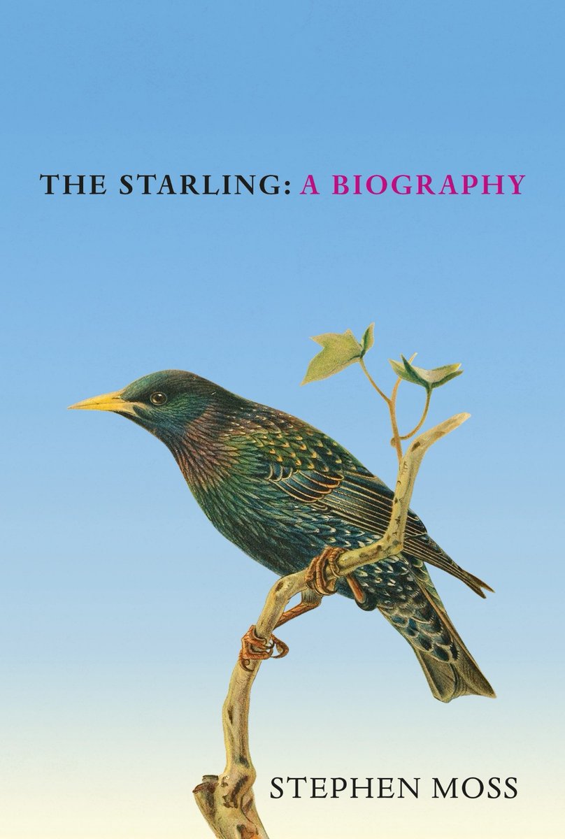 Check out the wonderful <a href="/nhbsNews/">nhbsNews</a> website for my interview on the Starling: A Biography - nhbs.com/blog/author-in… - and don't forget to vote for the next bird in the series!