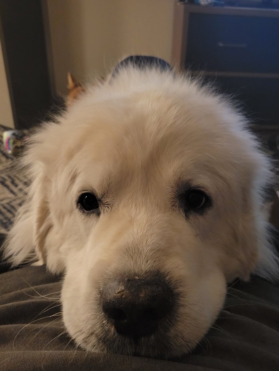 Miranda 🎉 Buy Muted Volume 2!!! tweet media