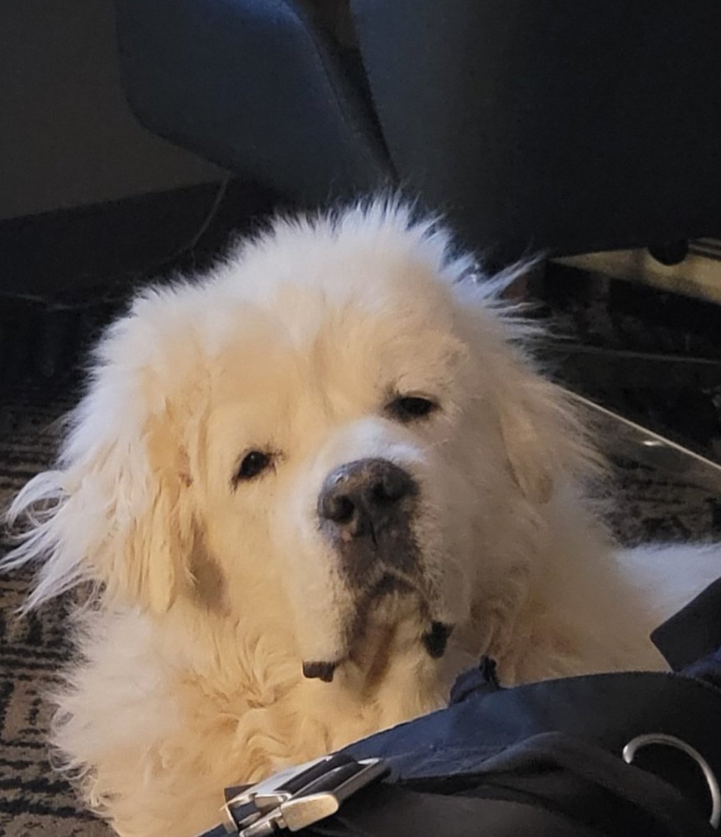 Miranda 🎉 Buy Muted Volume 2!!! tweet media