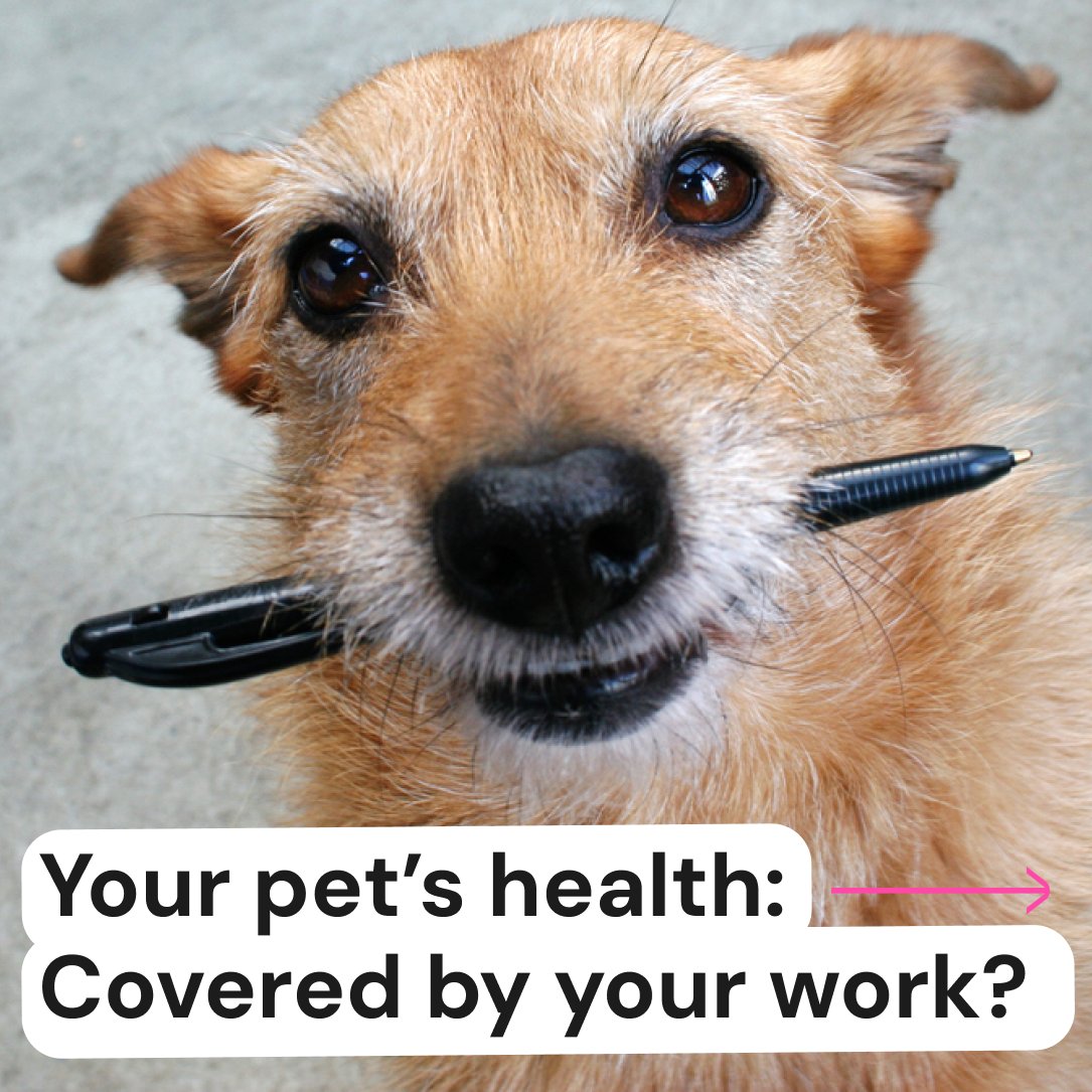 The pet thread that might benefit you the most!