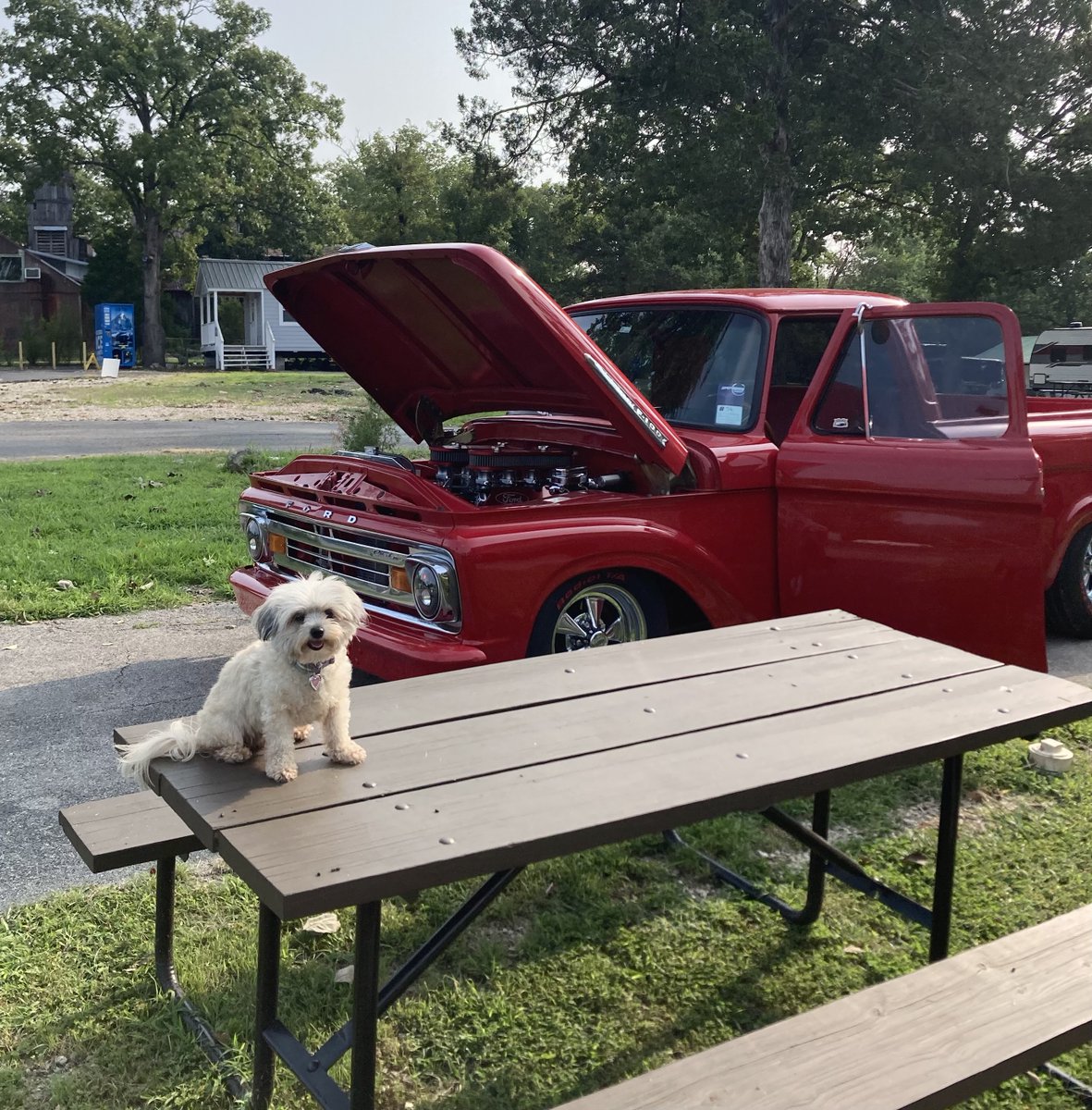 OutdoorAdvanced's tweet photo. Stay pawsitive, it's Friday 🥳  @Hide-A-Way Campground https://t.co/dK4CugaLyz