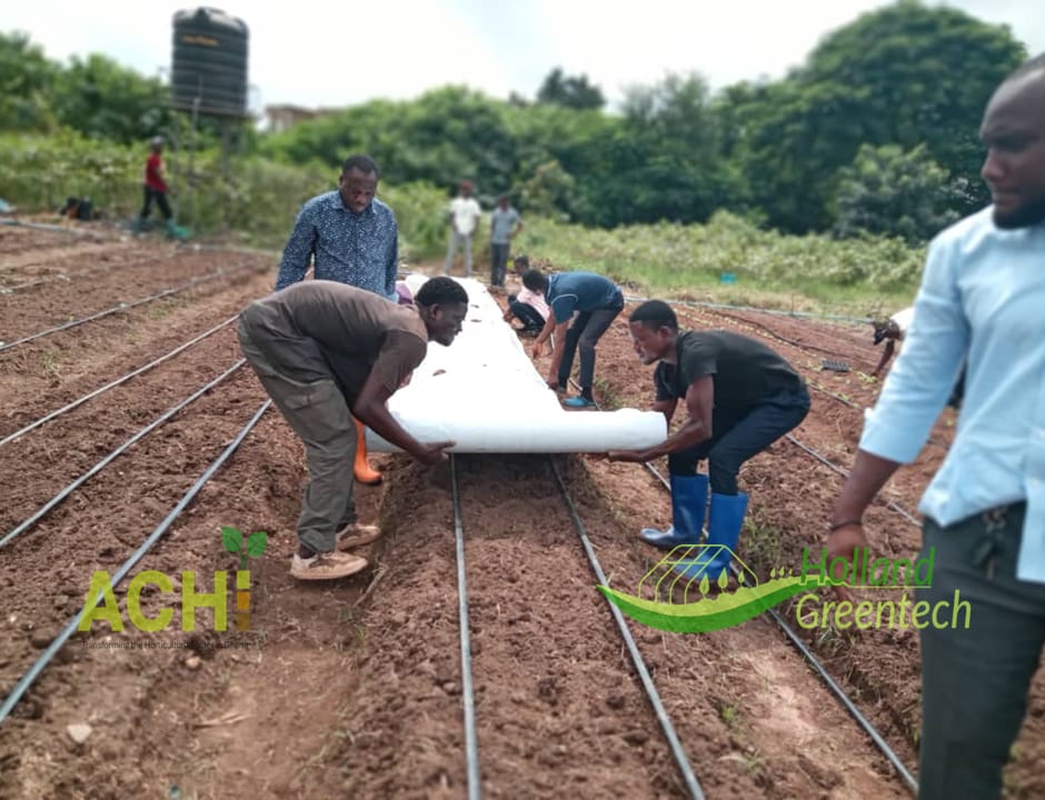 Holland Greentech Ghana tweet media