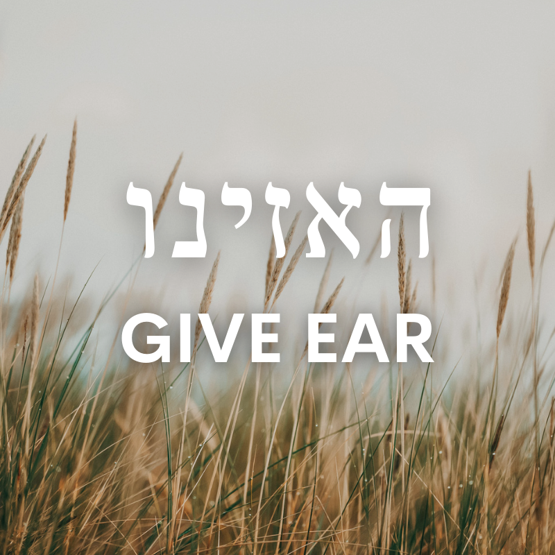 ChosenPeopleUSA's tweet photo. Check out our thoughts on this week's Torah portion! #ChosenPeople #Torah #devotional #Messianic #Parashah #Parashat #Bible #Numbers #HaAzinu https://t.co/myYIZHd8qE