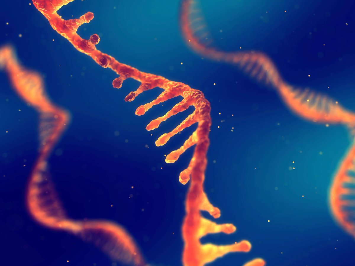 BMC_series's tweet image. #BMCBioinformatics Call for Papers – RNA-seq data analysis. Your work belongs alongside related, high-quality publications, where it will enjoy maximum visibility and impact.biomedcentral.com/collections/RS…