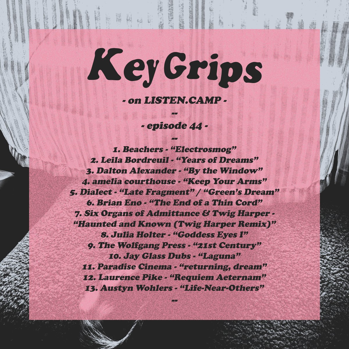 Bernie (allergy pilled) tweet media