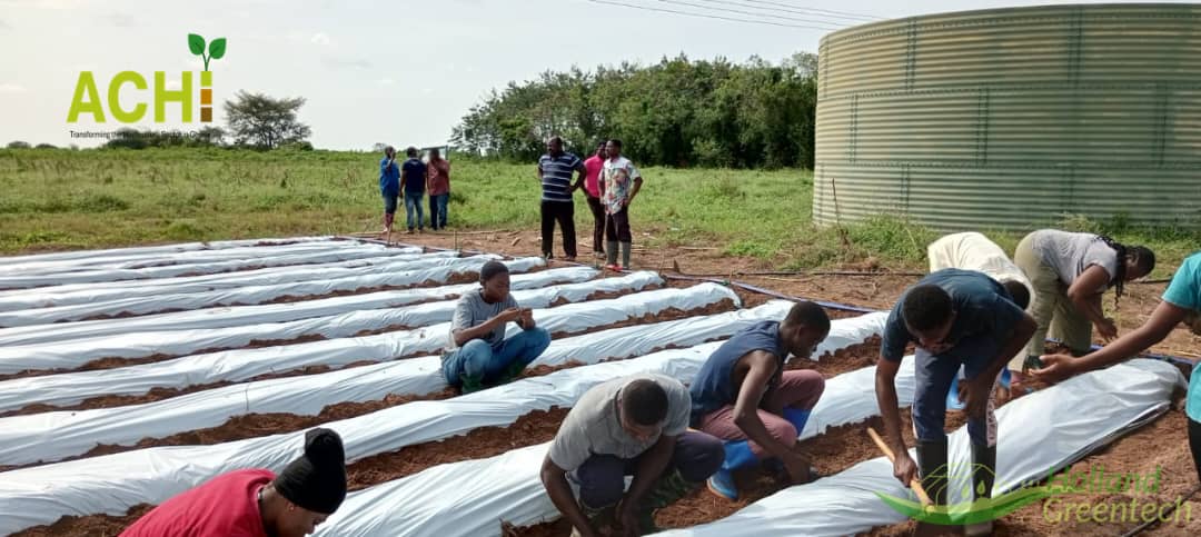 Holland Greentech Ghana tweet media