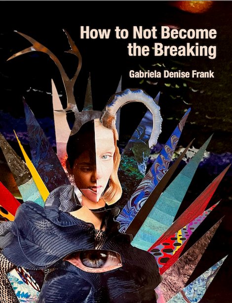 gatewayliterar1's tweet image. We're excited to announce that pre-orders for our next book, Gabriela Frank's HOW TO NOT BECOME THE BREAKING, are now open!
gatewayliterarypress.wordpress.com/our-books/
