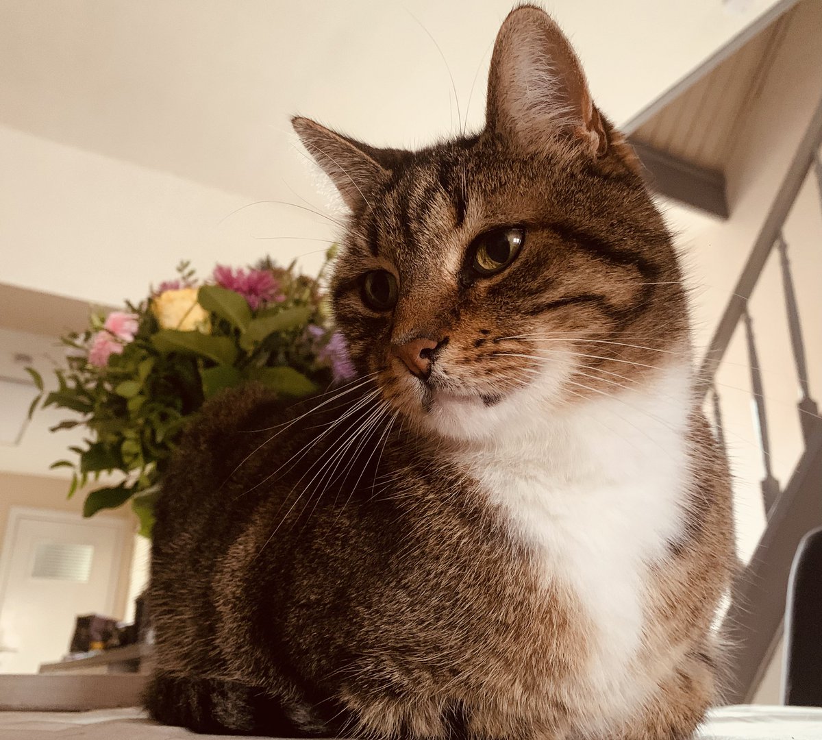 Cath1984's tweet photo. @theblondenurse_ Mijn Prutske https://t.co/bTodiLXbw6