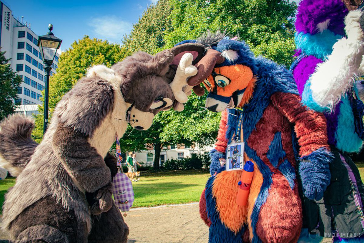 CampionBunny's tweet photo. Happy #FursuitFriday !! Engaging in an intense antler battle with @TheTriggeredFox 

I don't think campions winning 

#furry #fursuit #fursuiter #ukfur #fullsuit #jackalope #sotonfur #sotonfurs #furmeet https://t.co/g7fujjceWX