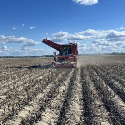 Blit Agro 🥔 🚜 tweet media