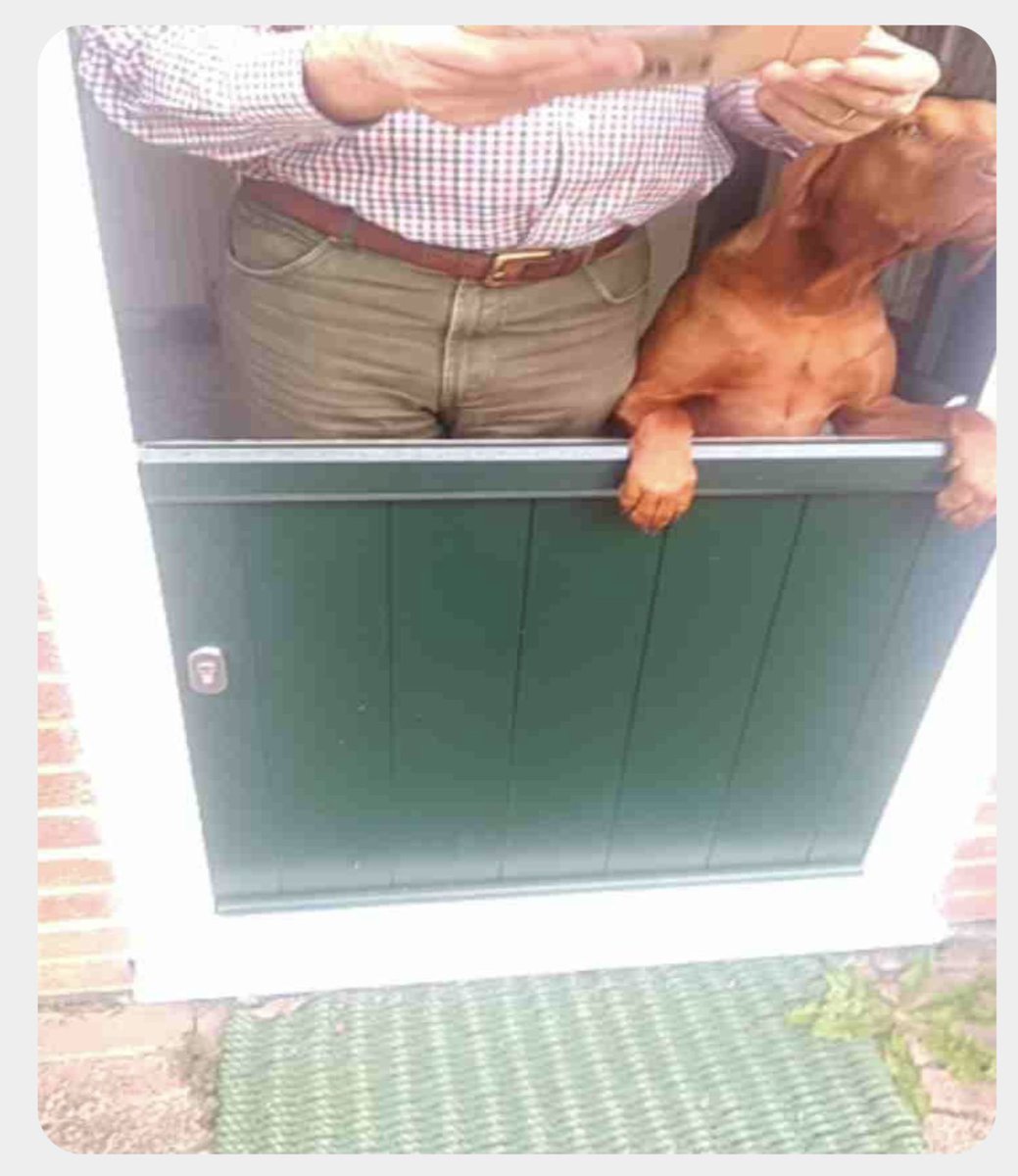 The delivery company want to know if the customer is satisfied.  By the look on that face I guess the answer is NO!