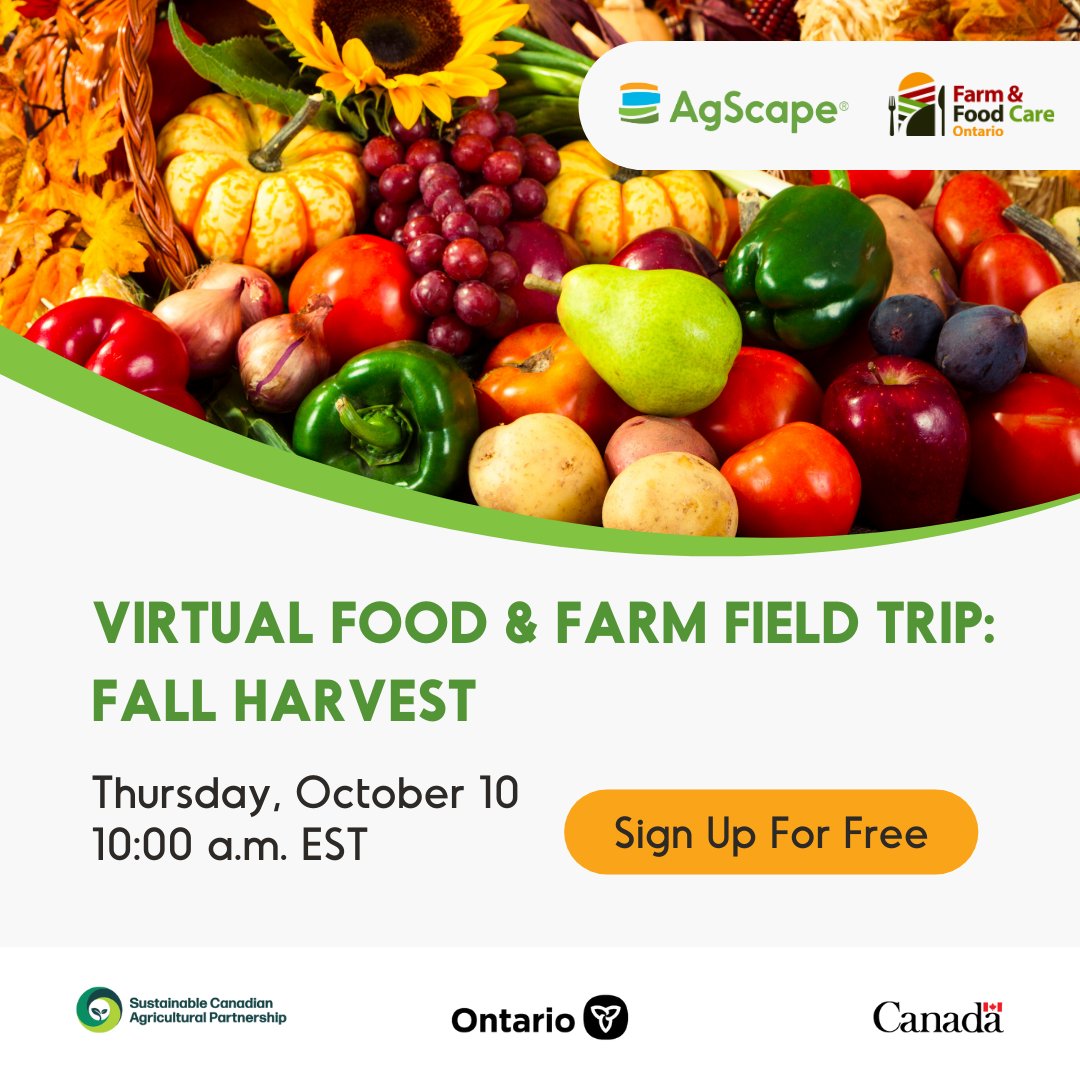 Calling all K-8 educators in Ontario! On Thursday, October 10 at 10:00 a.m. EST, take your K-8 students on a free Virtual Food &amp; Farm Field Trip to explore the world of fruit and vegetable farming and harvesting. Sign up at ow.ly/qHXF50TpuFe #ONTAgWeek 

<a href="/FarmFoodCareON/">Farm & Food Care Ontario</a>
