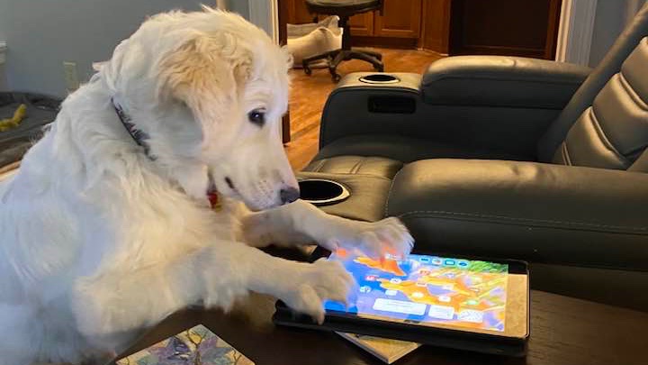 Spin Rescue tweet media