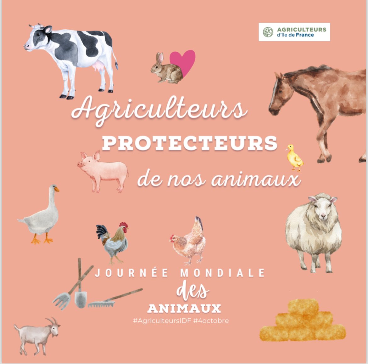 « 🐾🌍 En cette #JournéeMondialeDesAnimaux, rendons hommage aux agriculteurs d’Île-de-France qui prennent soin de la nature et des animaux tout en nourrissant nos territoires. 🌱🐄