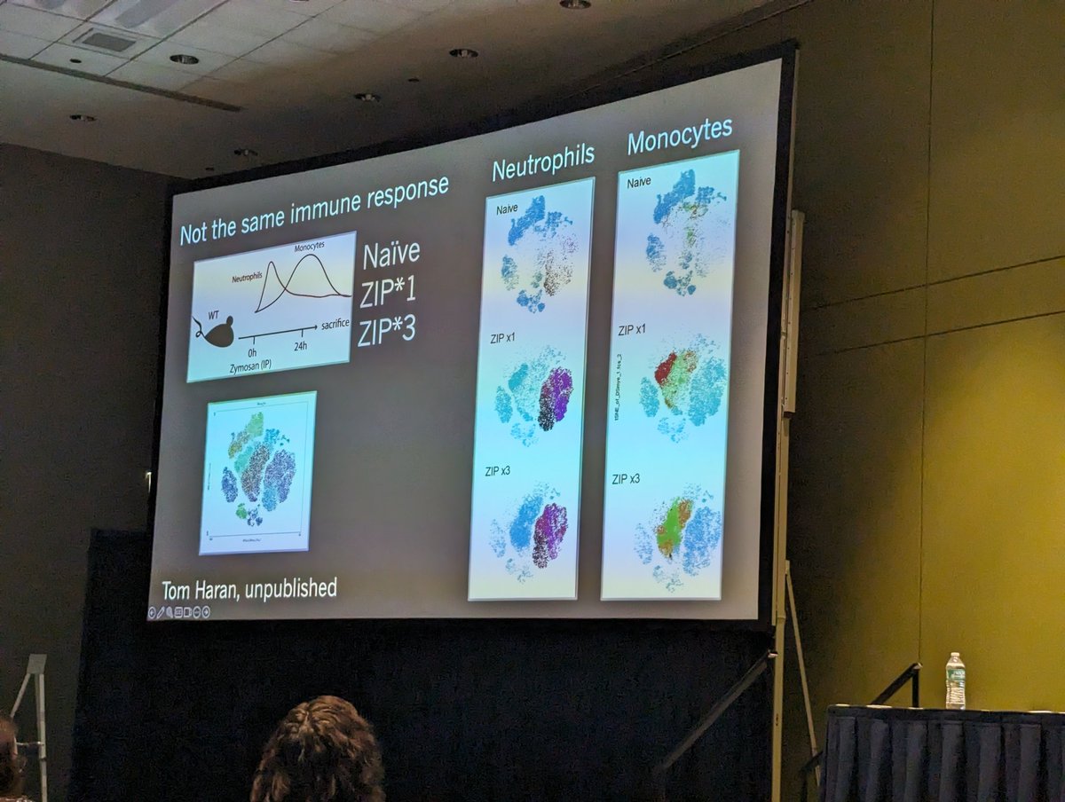MCCStweets's tweet image. Immune engrams and brain/body interactions with @rolls_asya at @TechnionLive
#MCCS24