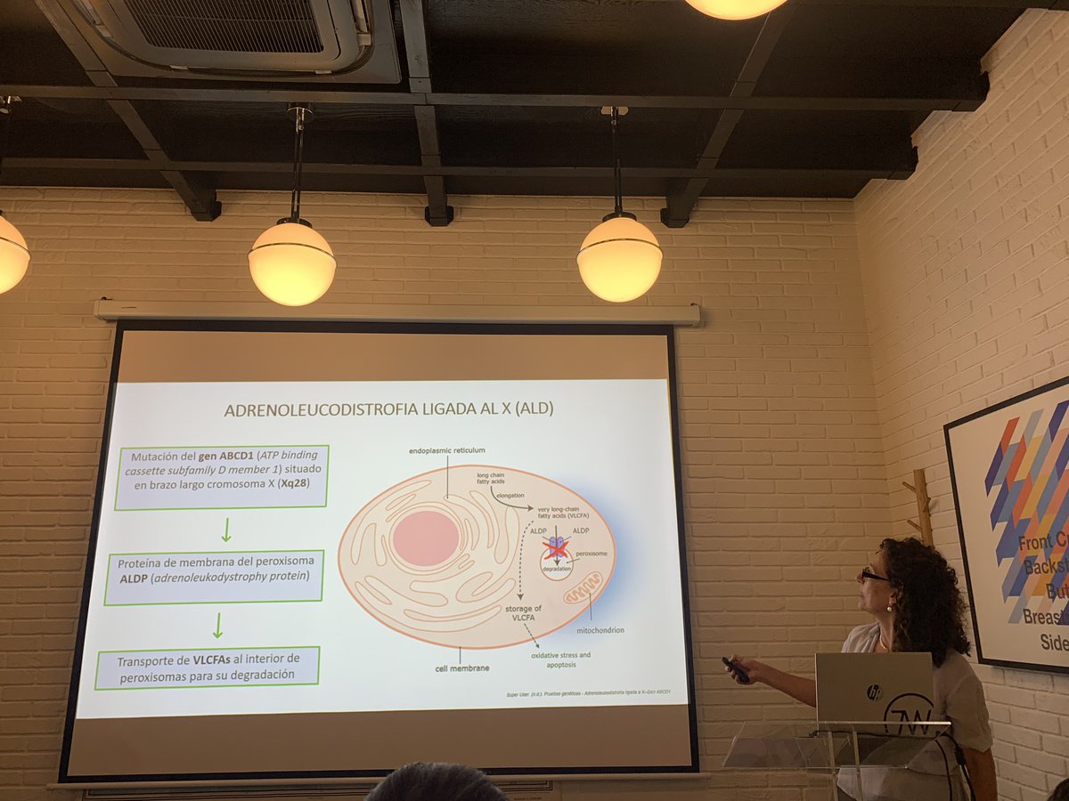 EndocrinoHUVR (@endocrinohuvr) on Twitter photo <a href="/VenegasEva/">Eva Venegas</a> ha participado en las I Jornadas de actualización en enfermedades congénitas del adulto
▶️Adrenoleucodistrofia del adulto
<a href="/Aecom_EIM/">AECOM, Asociación Española para estudio de los ECM</a>
<a href="/AECOMySociedad/">AECOM&Sociedad</a> <a href="/VenegasEva/">Eva Venegas</a> ha participado en las I Jornadas de actualización en enfermedades congénitas del adulto
▶️Adrenoleucodistrofia del adulto
<a href="/Aecom_EIM/">AECOM, Asociación Española para estudio de los ECM</a>
<a href="/AECOMySociedad/">AECOM&Sociedad</a>