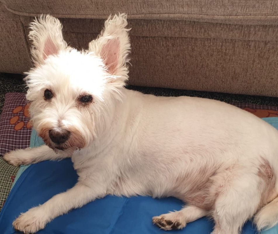 Barbara Ladmore tweet media