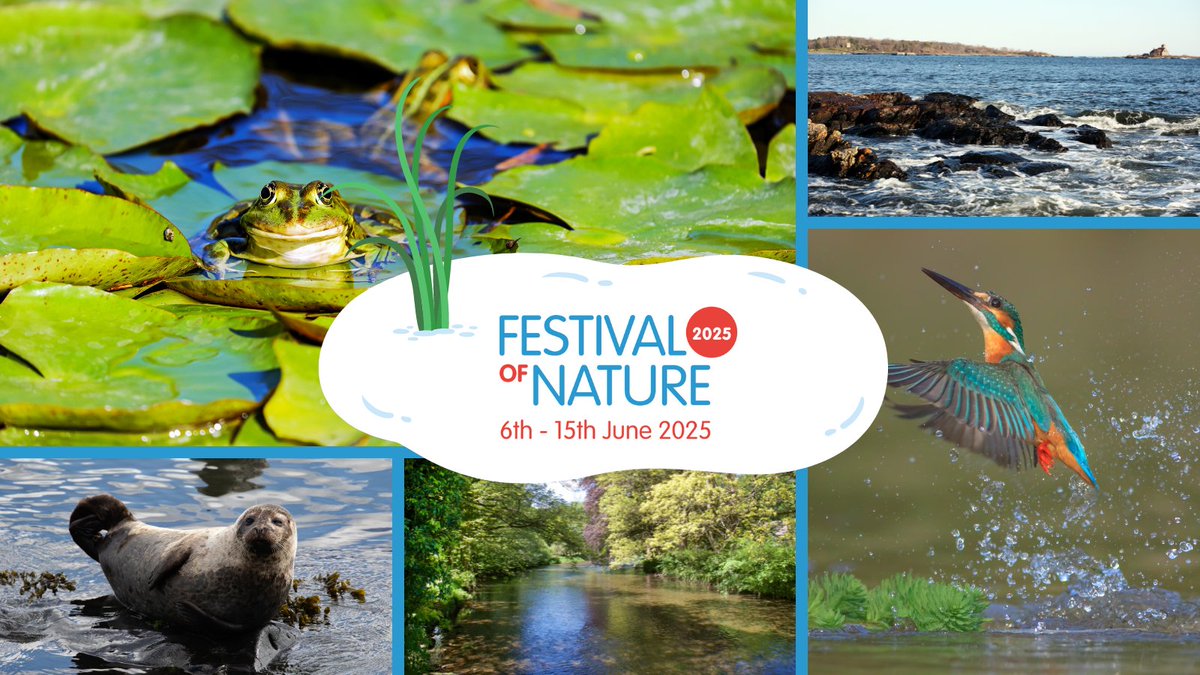 🎉 BIG NEWS! Festival of Nature 2025 is taking place on Fri 6th - Sun 15th June! 💚

And it has a theme... 💧 Water! 💧 From oceans &amp; lakes to ponds &amp; streams, celebrate our #BluePlanet and it's amazing wildlife at #FestOfNature 2025. 🪸🐟

Learn more: festivalofnature.org.uk