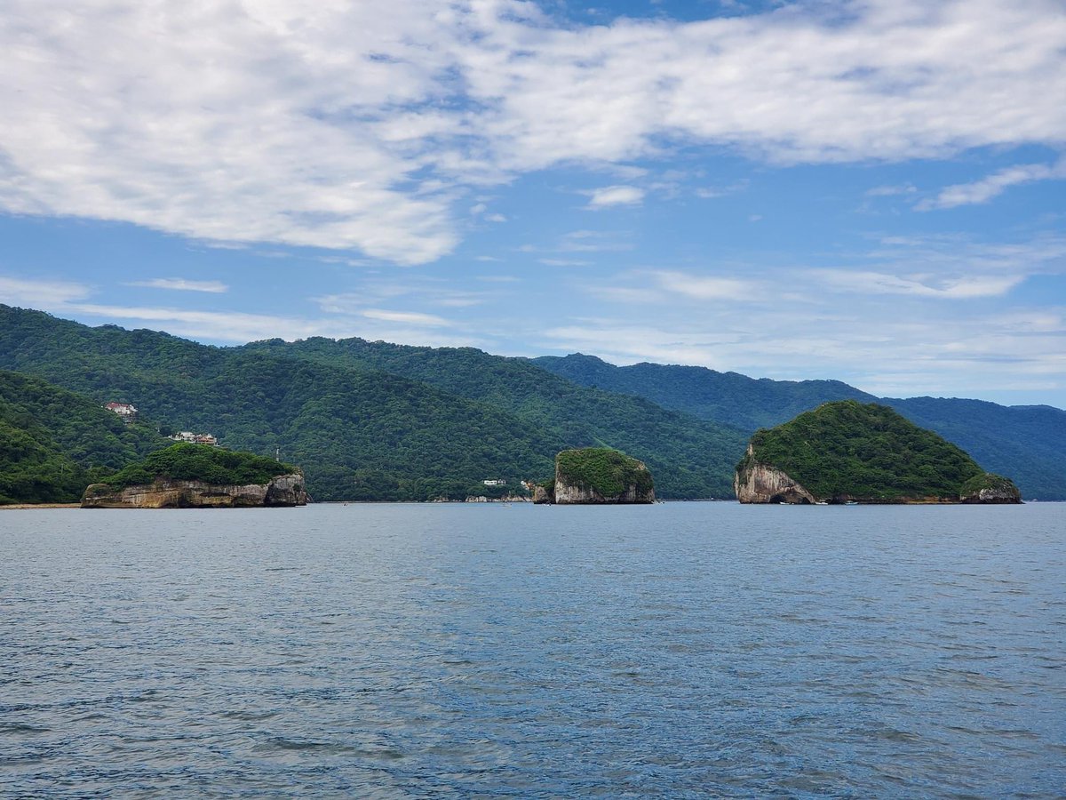 VallartaPtours's tweet photo. Arcos- Colomitos- Las animas 🏝

https://t.co/wMggWwrHrr

Reservas al ￼322 379 8165 📱

#PaseosEnBarcoVallarta #PuertoVallarta #LasAnimas #arcosyplayaanimaspuertovallarta #Colomitos #tourspuertovallarta #diversionasegurada #vallartaplaytours 🥳 https://t.co/slxyzUPgJJ