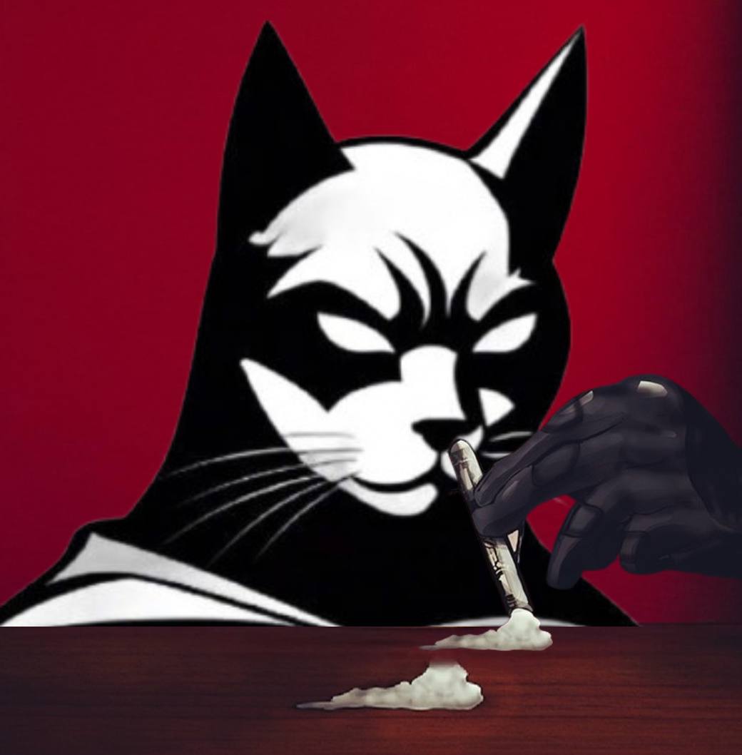 BatCat tweet media