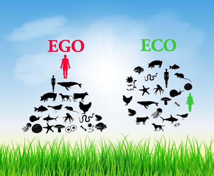 This World Animal Day, let’s not forget that we too are a part of nature NOT apart from it. We are decimating the Lifeline that is keeping us alive!

#WorldAnimalDay2024 #WorldAnimalsDay #WorldAnimalWelfareDay