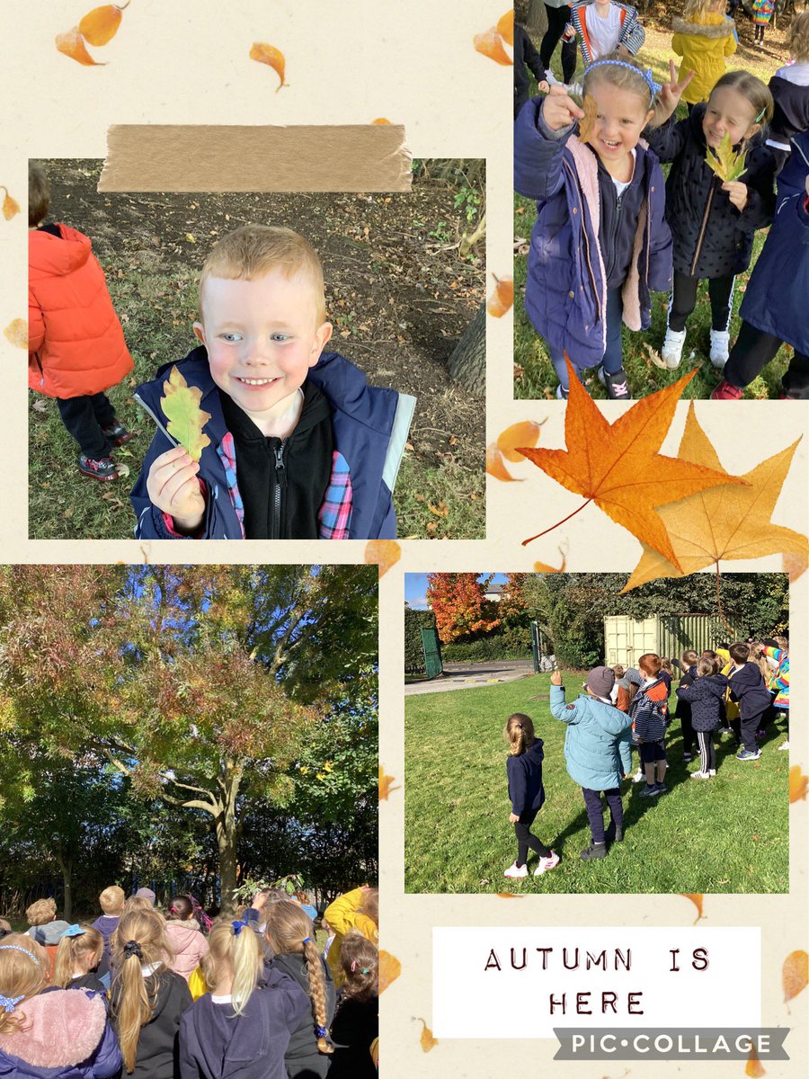 IPMATTowngate's tweet photo. We have loved exploring our school grounds to find all things Autumn! We were amazed to find some leaves had 3 or 4 different colours on them! #ReceptionTPA https://t.co/BGNmXosXbm