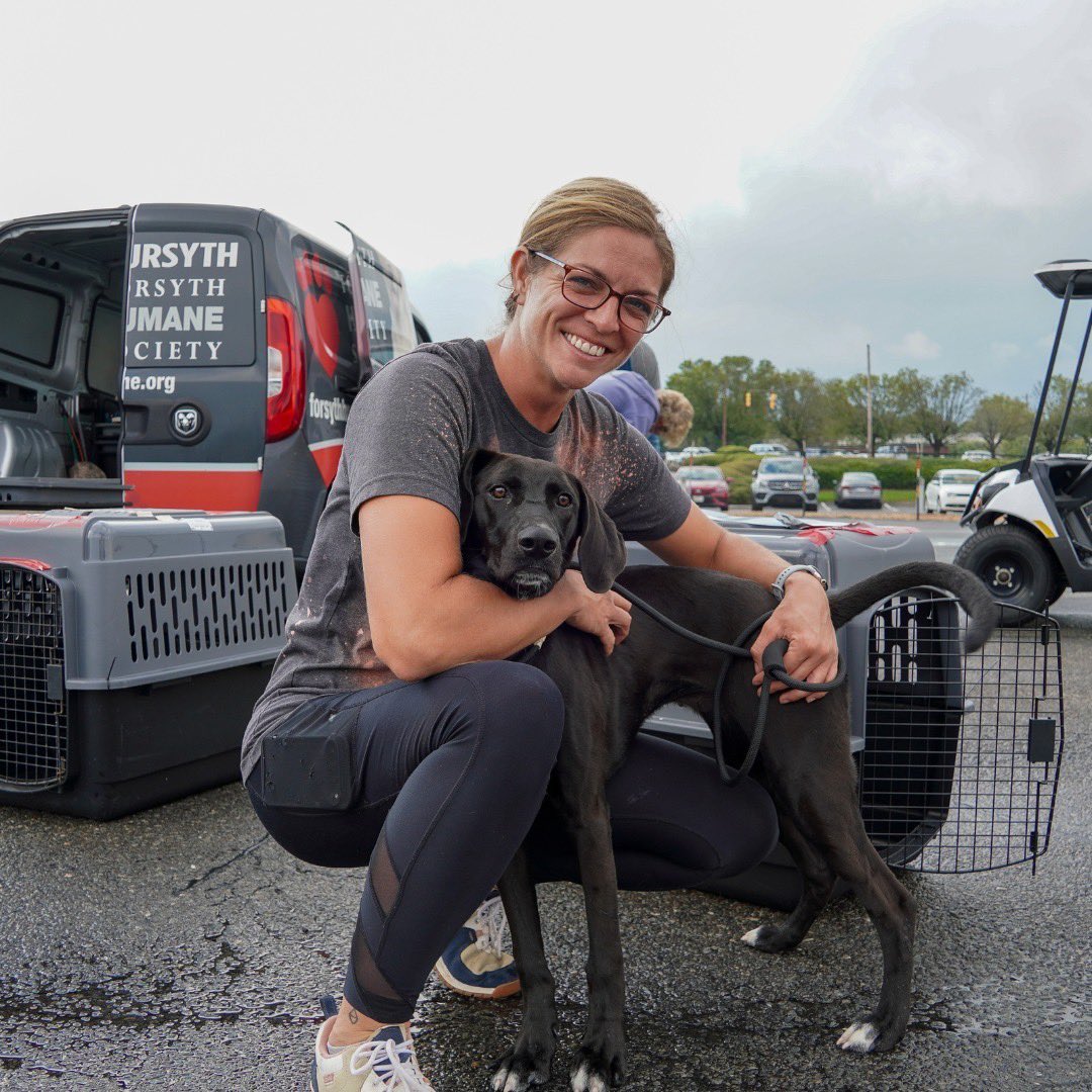 WeRateDogs tweet media