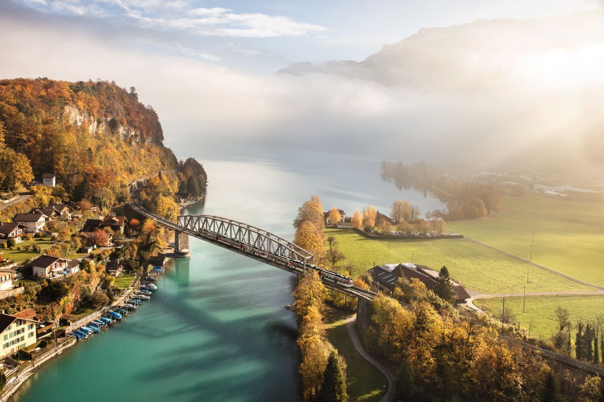 Travel Switzerland (@travel_ch_) on Twitter photo Hop aboard the Luzern–Interlaken Express and be enchanted by the colours of autumn! Golden forests, serene lakes, and cascading waterfalls – nature’s magic at its best 🚂😍🍂
More information: buff.ly/3SMTXjt
📸 <a href="/zentralbahn/">Die Zentralbahn.</a>
#TravelSwitzerland #MyZentralbahn Hop aboard the Luzern–Interlaken Express and be enchanted by the colours of autumn! Golden forests, serene lakes, and cascading waterfalls – nature’s magic at its best 🚂😍🍂
More information: buff.ly/3SMTXjt
📸 <a href="/zentralbahn/">Die Zentralbahn.</a>
#TravelSwitzerland #MyZentralbahn