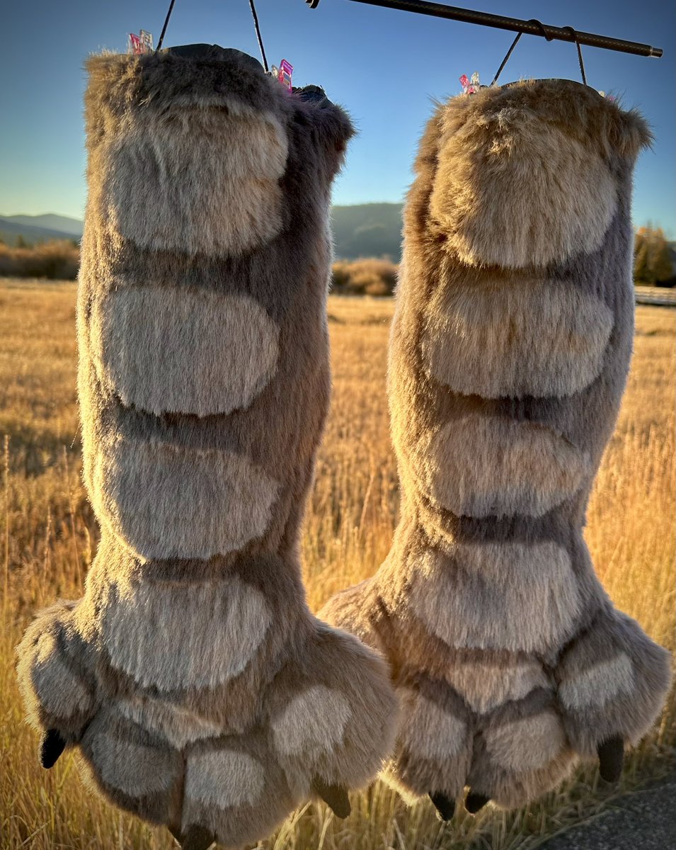 StitchedonMayne's tweet photo. BIRD DAY BIRD DAY BIRD DAY  #FursuitFriday 

Recently completed commission! https://t.co/snNVz0E2WX