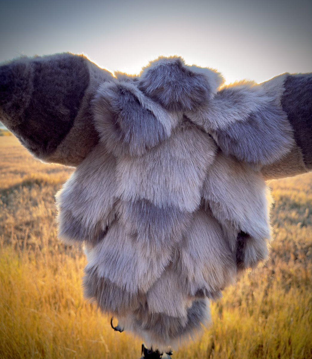 StitchedonMayne's tweet photo. https://t.co/Kp3ANFifgR