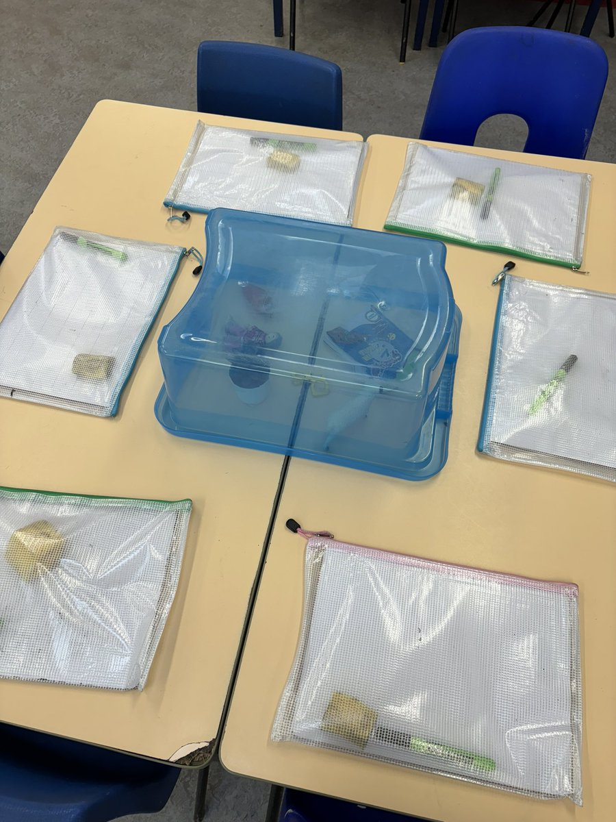 A few of my Y1 continuous provision activities this week 🥰

Maths Tuff Tray 🧸
Counting the correct number and colour bears to match each house. This was for our SEN break out space.

What’s in the box? 📦
Children use their Phonics to have a go at spelling the items they see.