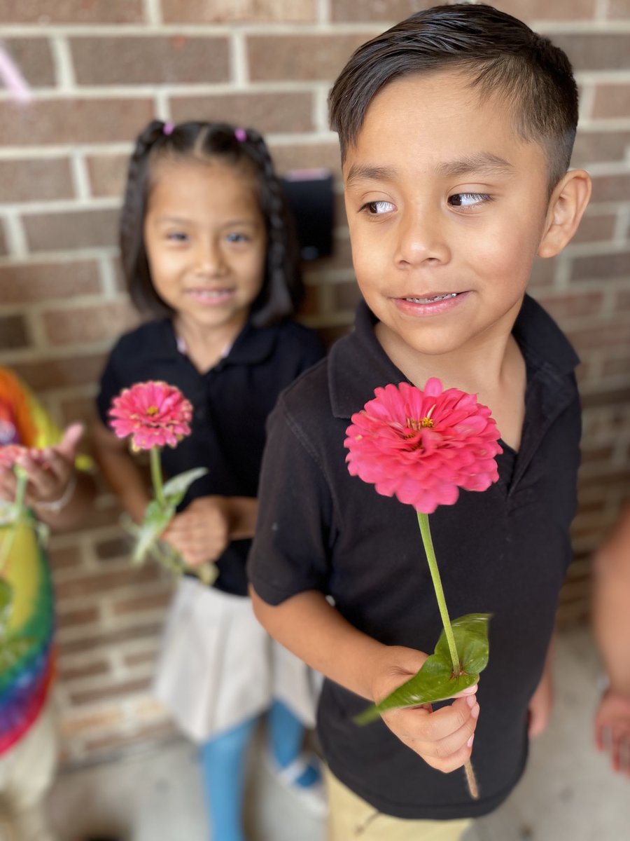 Nurse Reardon (@nursereardon) on Twitter photo Don’t forget to stop and smell the roses….or zinnias! 🌹🌸🌺#PrimaryPatch <a href="/DreamBigRB/">Luigi Laugelli</a> <a href="/rbpsEAGLES/">Red Bank Primary</a> <a href="/RedBankSup/">Dr. Jared Rumage</a> <a href="/jrigby105/">Jen Rigby</a> Don’t forget to stop and smell the roses….or zinnias! 🌹🌸🌺#PrimaryPatch <a href="/DreamBigRB/">Luigi Laugelli</a> <a href="/rbpsEAGLES/">Red Bank Primary</a> <a href="/RedBankSup/">Dr. Jared Rumage</a> <a href="/jrigby105/">Jen Rigby</a>