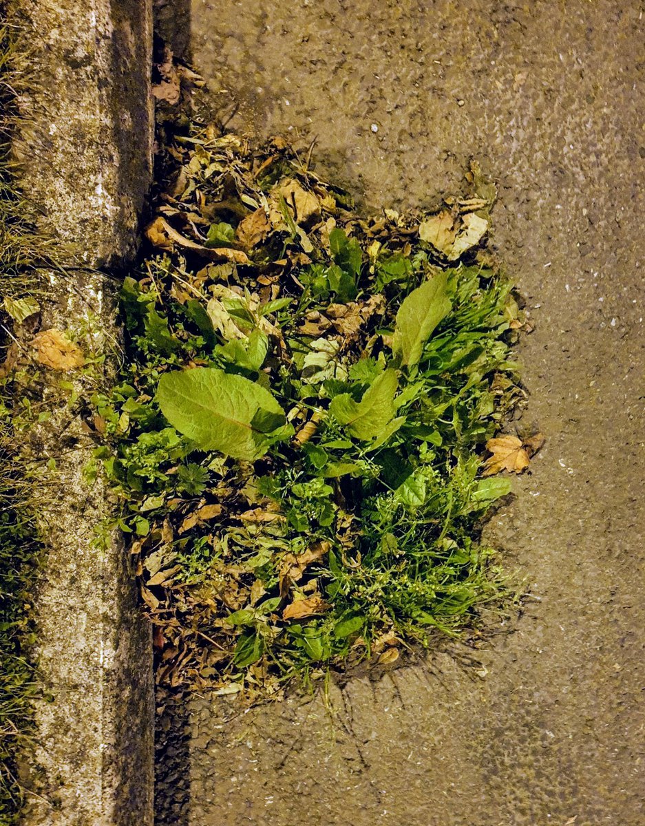 Philip Andrew O'Reilly Photography tweet media