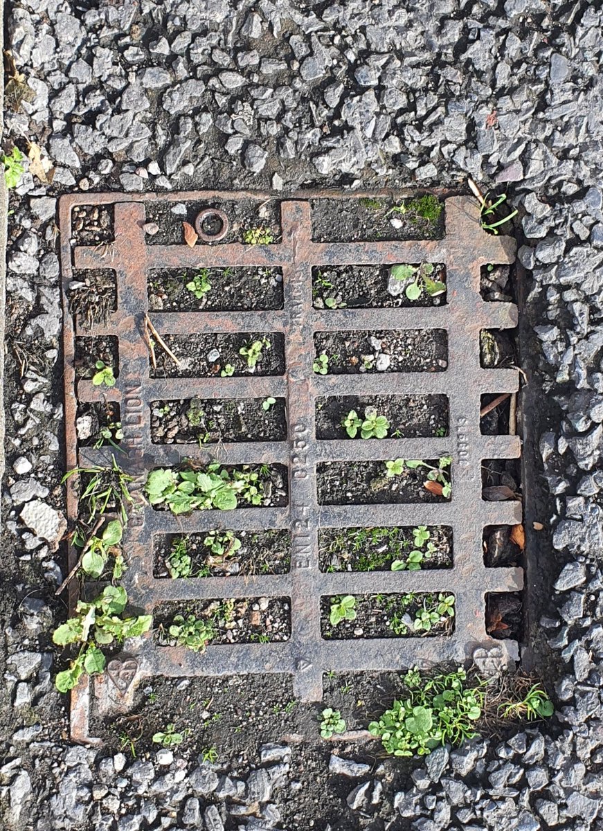 Philip Andrew O'Reilly Photography tweet media