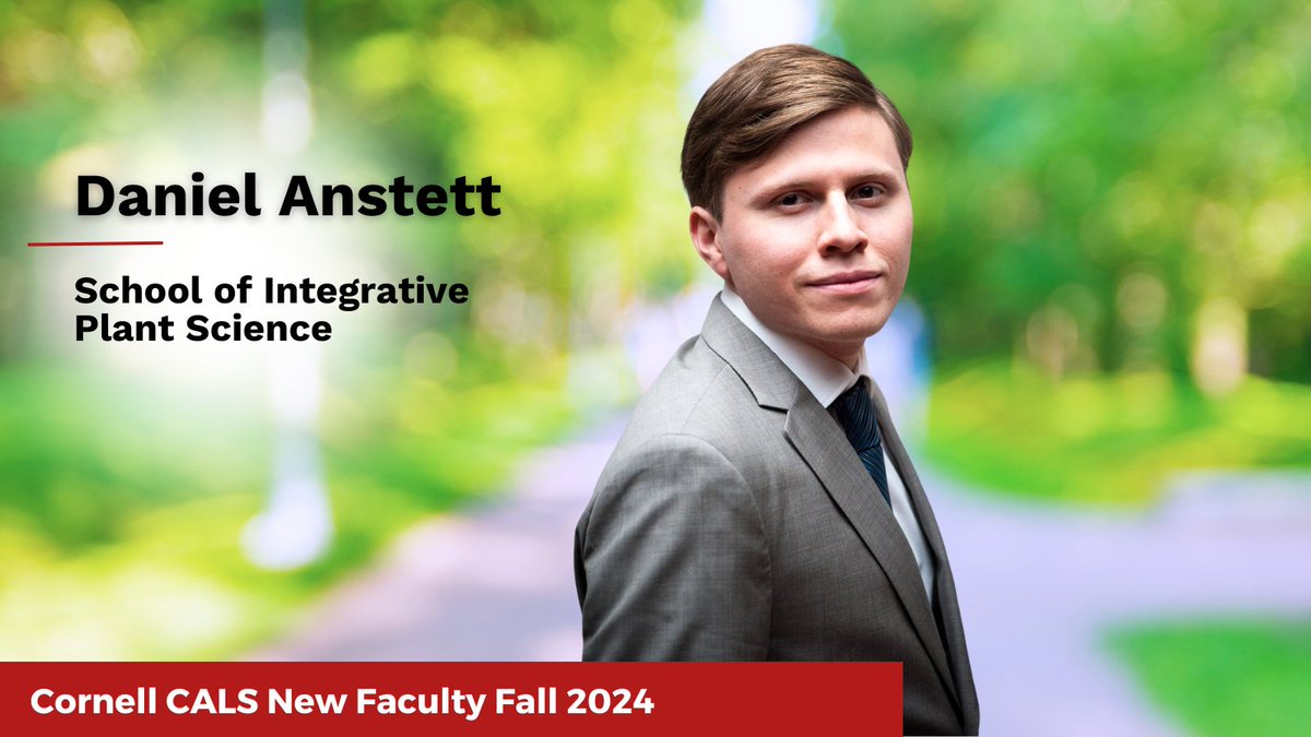 CornellCALS's tweet image. Daniel Anstett (@daniel_anstett) is working to find solutions to the biodiversity crisis by leveraging genomics &amp;amp; spacial-based science to inform conservation management &amp;amp; restoration ecology. cals.cornell.edu/news/2024/10/m…