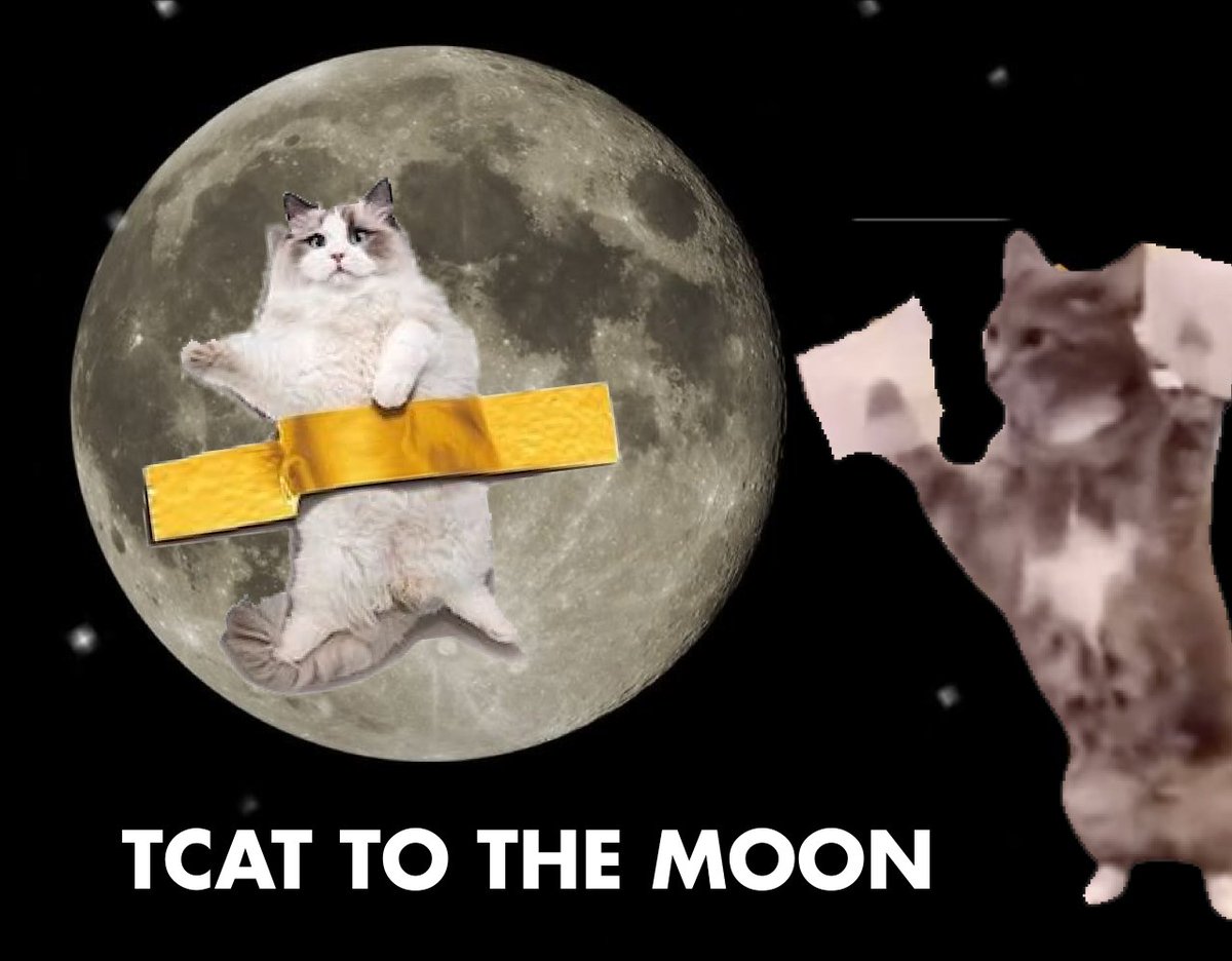 tapecatsol's tweet photo. $TCAT

Tape it to the moon!

#POPCAT  #sol #tcat https://t.co/r8DS7wEGWf